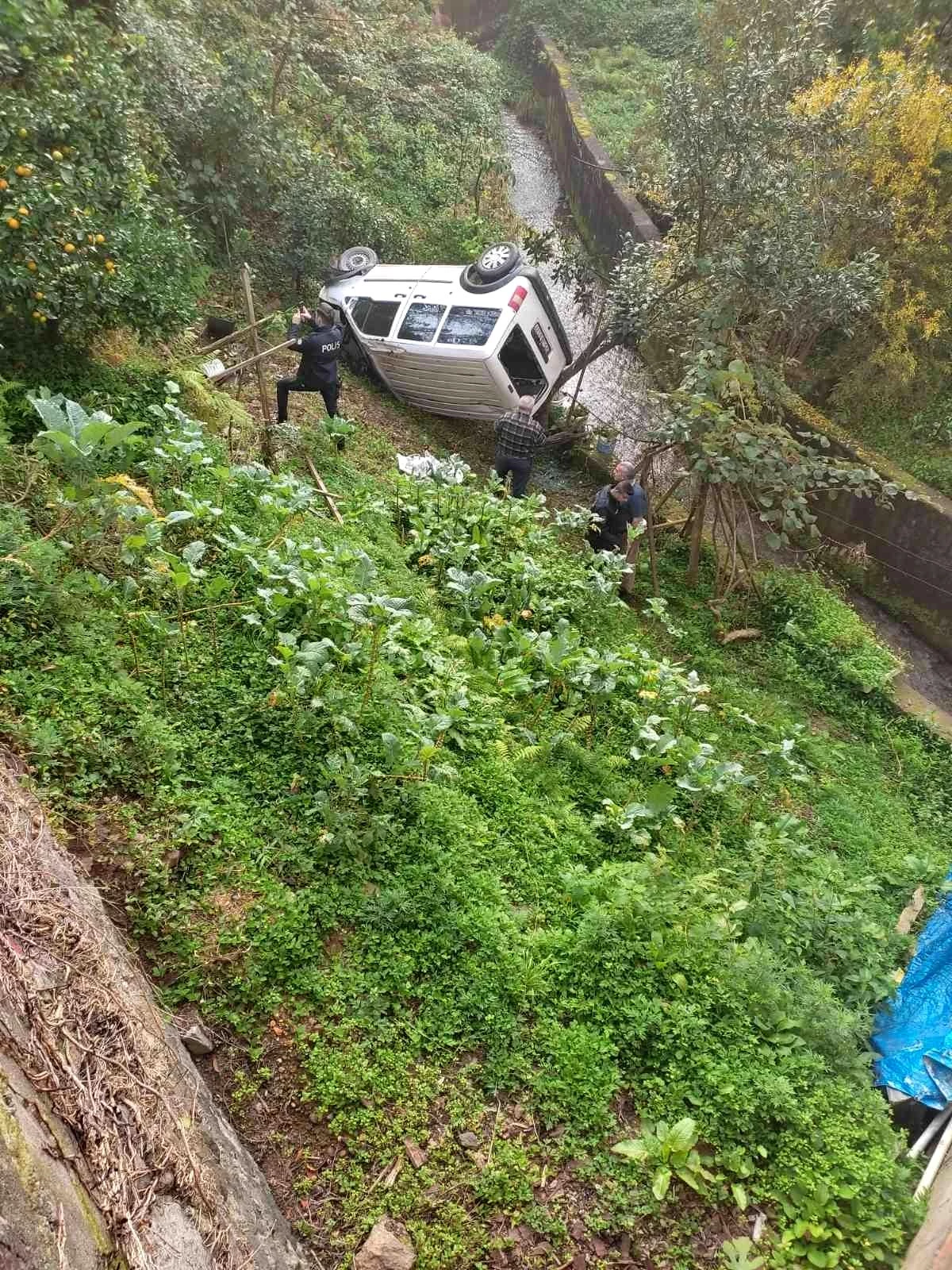 Rize\'de uçuruma yuvarlanan araç ağaçlara tutunarak durabildi