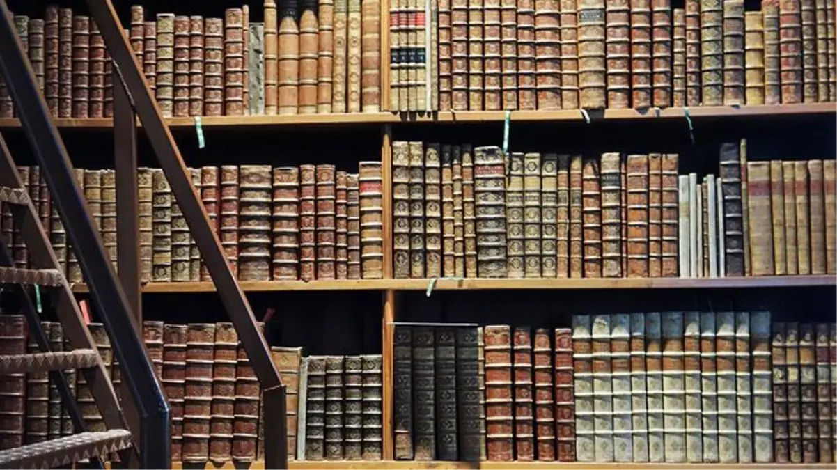 150 yıldır duran kutudan 15 milyon yıl önce yaşamış salyangozlar çıktı