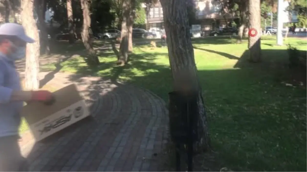Yanarak telef olan kedinin çöp kutusuna atılması tepki çekti