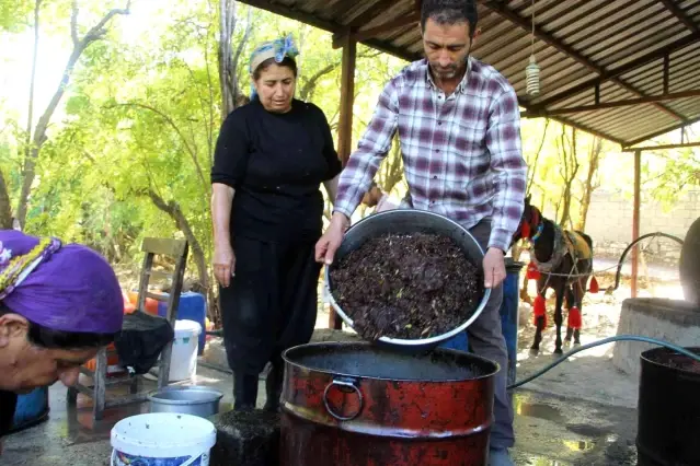 Yüzlerce yıllık gelenek ile zeytinyağı üretiyorlar