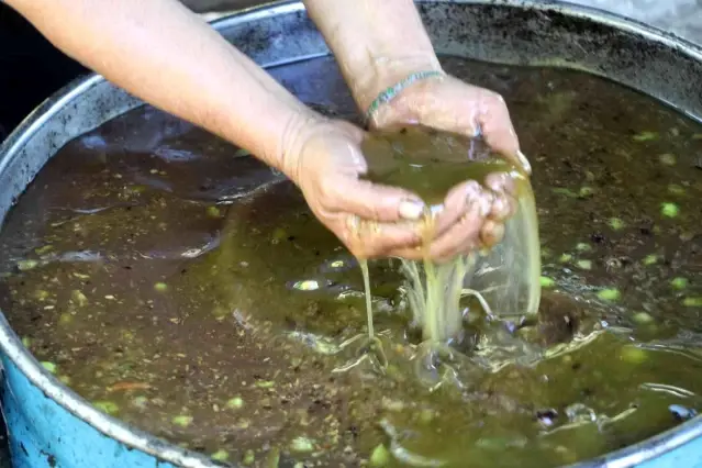 Yüzlerce yıllık gelenek ile zeytinyağı üretiyorlar