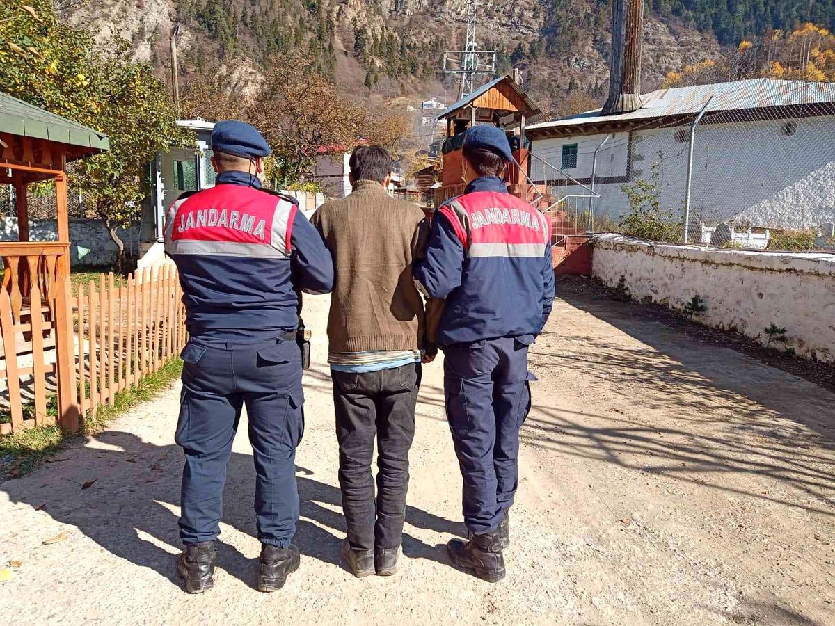 Artvin\'de 49 düzensiz göçmen yakalandı