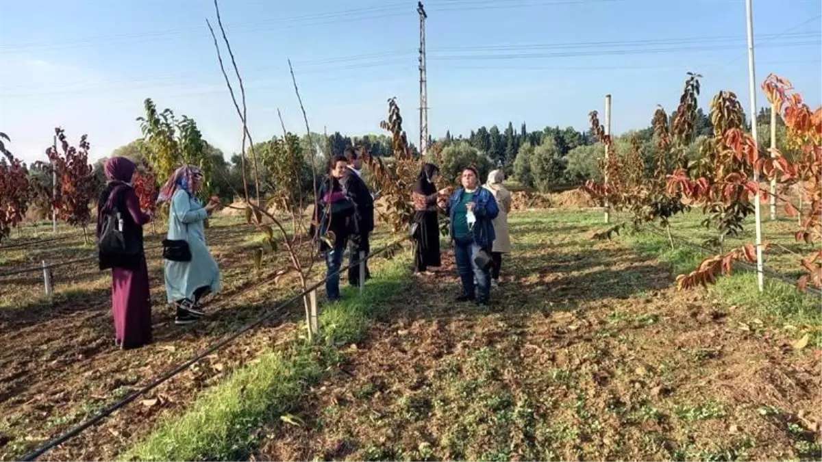 Aydınlı kadın çiftçilerden proje gezisi