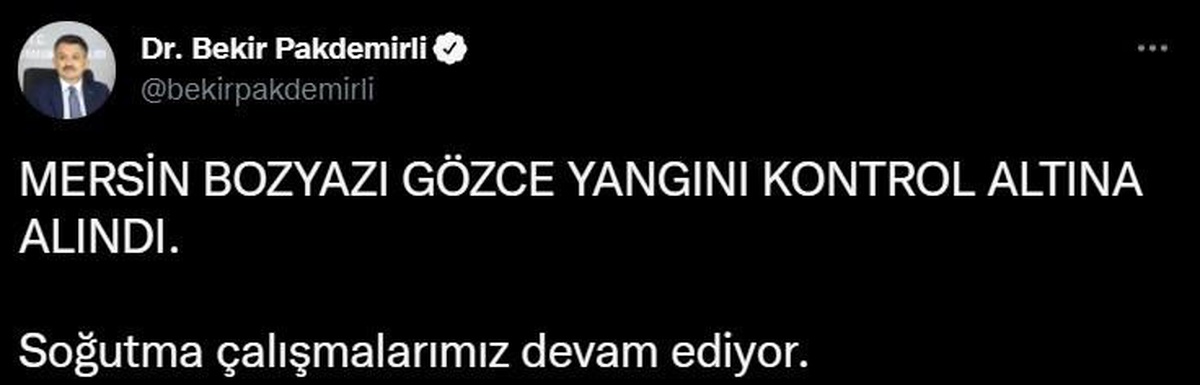Son dakika haber! Bakan Pakdemirli, Mersin Bozyazı\'daki yangının kontrol altına alındığını bildirdi
