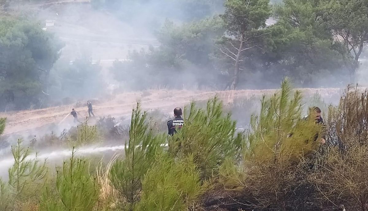 Son Dakika | Hatay\'da çıkan orman yangını kontrol altına alındı