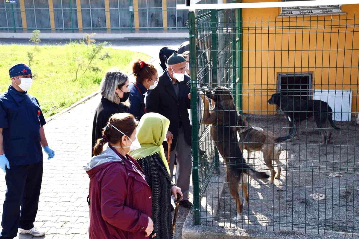 Huzurevi sakinleri hayvan barınağındaki hayvanları besledi