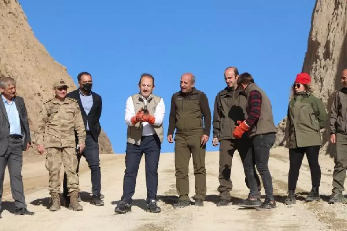 KALAŞNİKOFLA YABAN KEÇİSİ VURAN 2 KİŞİYE 185 BİN TL CEZA - YENİDEN