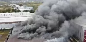 Son dakika gündem: Kocaeli'de geri dönüşüm tesisinde yangın (2)- Yeniden