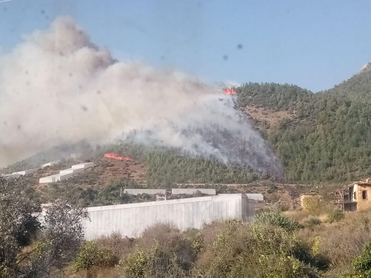 Mersin\'de çıkan orman yangınına müdahale ediliyor