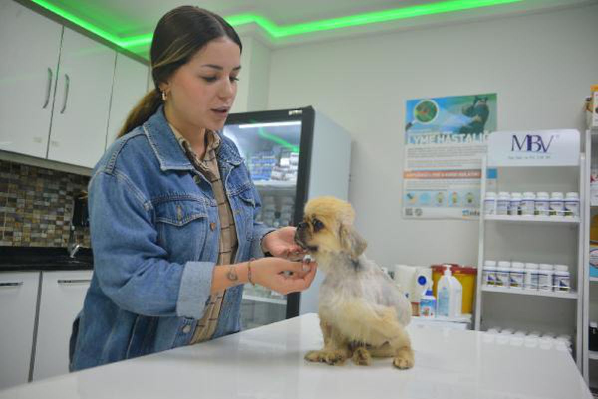 Ölüme terk edilen köpeğe cinsel saldırı şüphesi