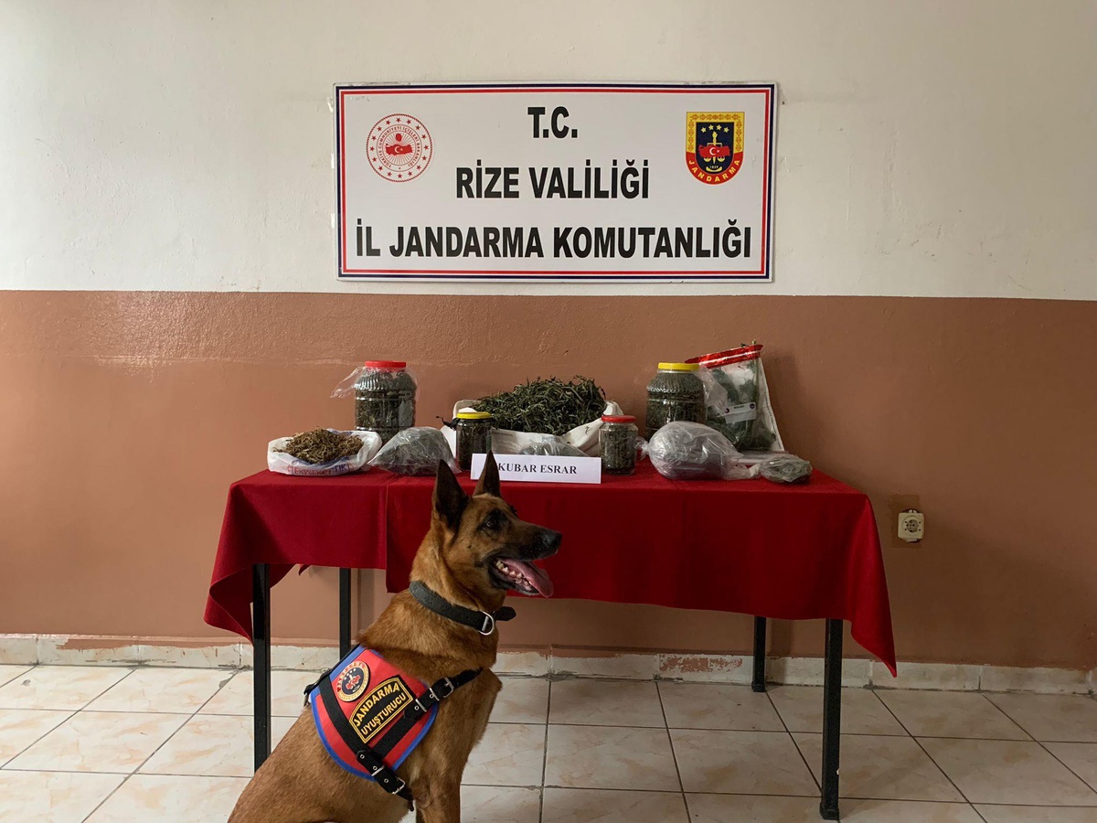 Rize\'de 2 kilo 640 gram esrar ele geçirildi
