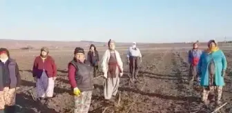 Tarlada çalışan işçilerden Ata'ya saygı