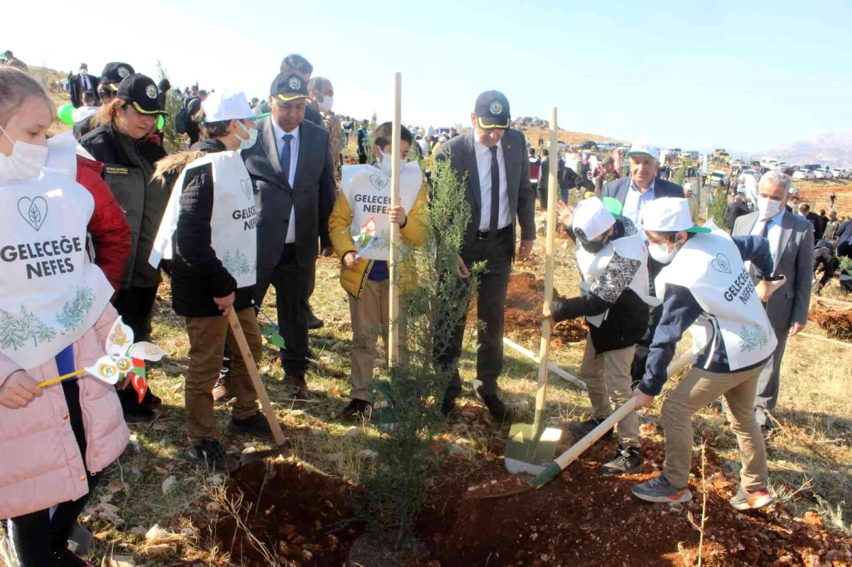 Adıyaman\'da 120 bin fidan toprakla buluşturuldu