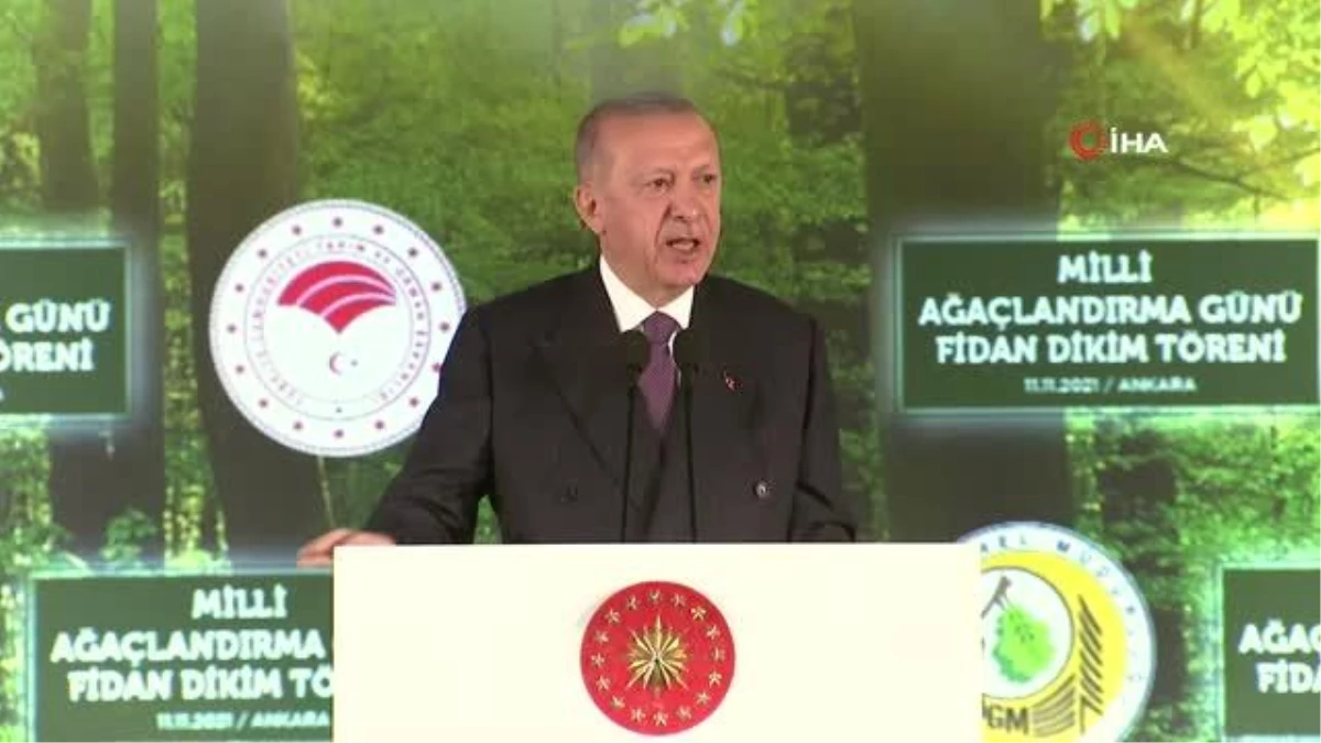 Cumhurbaşkanı Erdoğan, 81 ile 81 millet ormanı kurulacağı müjdesini verdi