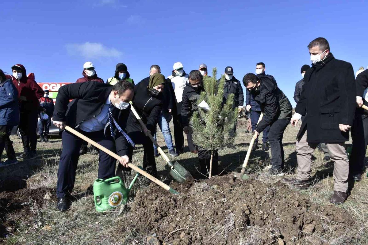 İnönü\'de 25 bin fidan geleceğe nefes olacak
