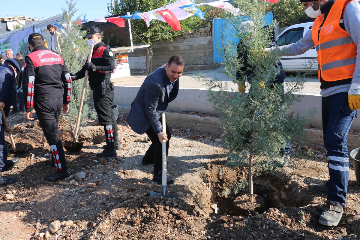 Kahta\'da "Milli Ağaçlandırma Günü"nde topraklar fidanla buluştu