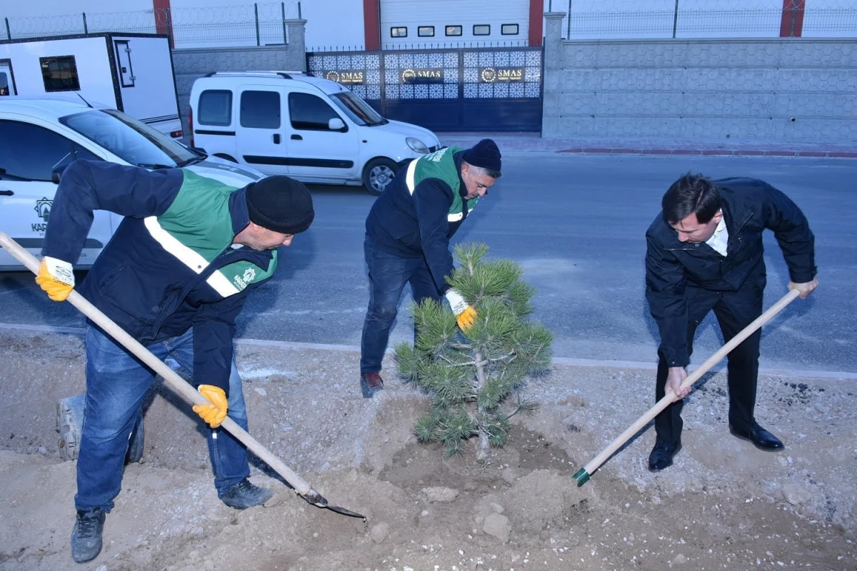 Karatay Belediye Başkanı Hasan Kılca, fidan dikti