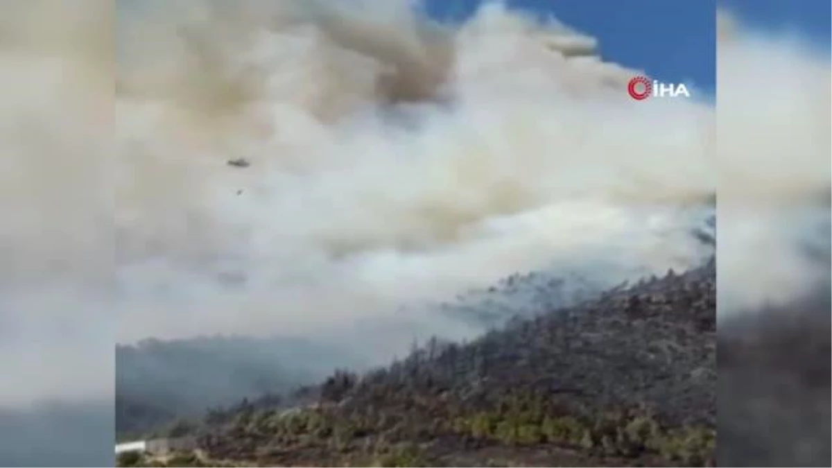 Mersin\'de orman yangını: 75 hektar ormanlık alan ile 25 dönüm sera yandı