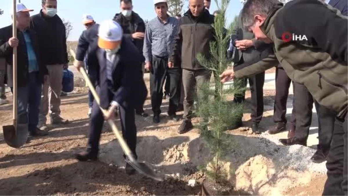 Milli Ağaçlandırma Günü\'nde 50 bin ağaç toprakla buluşturuldu