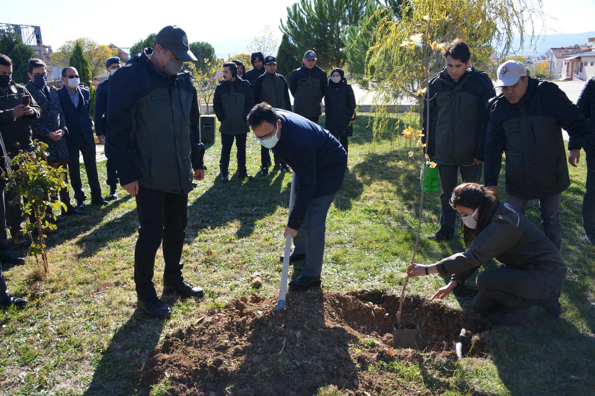 "Milli Ağaçlandırma Günü"nde Gediz\'de fidanlar toprakla buluşturuldu