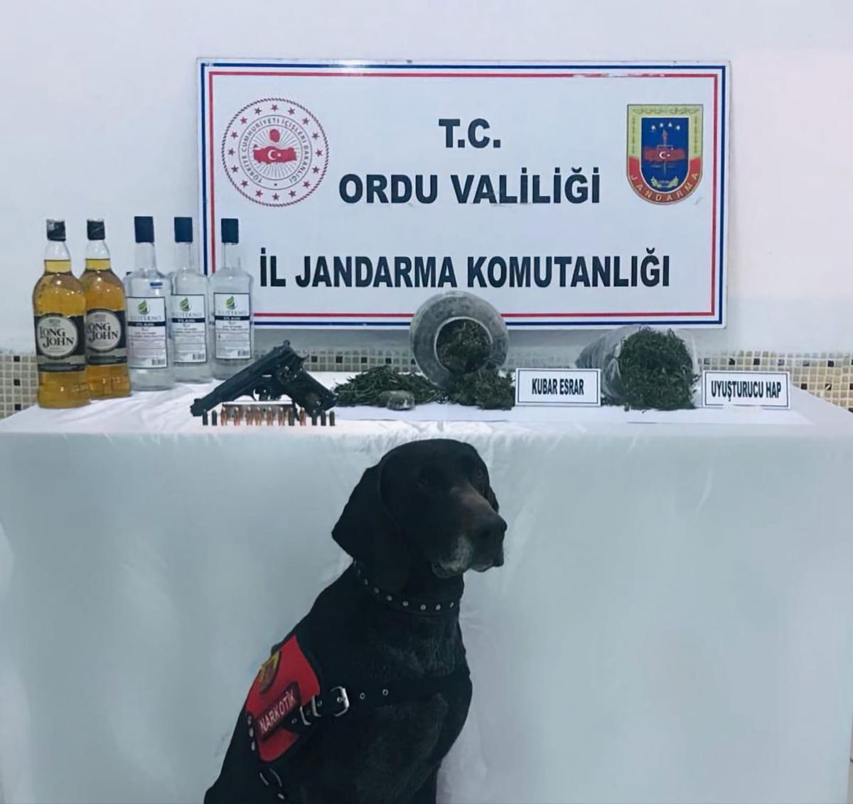 Ordu\'da uyuşturucu operasyonunda 2 şüpheli yakalandı