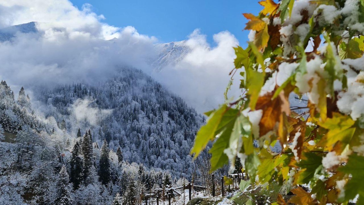 Rize\'nin yüksek kesimlerinde kar yağışı etkili oldu