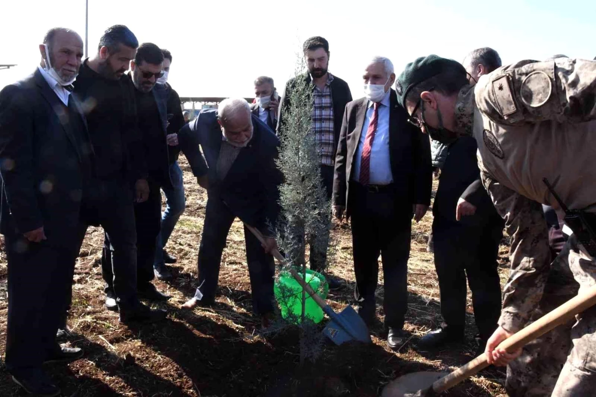 Şehit Fatih Doğan adına hatıra ormanı oluşturuldu