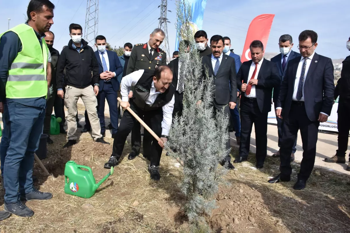 Şırnak\'ta 56 bin fidan toprakla buluştu