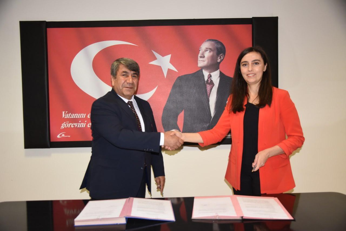 Sokak hayvanları için yapılacak gönüllü besleme projesi hayata geçiyor