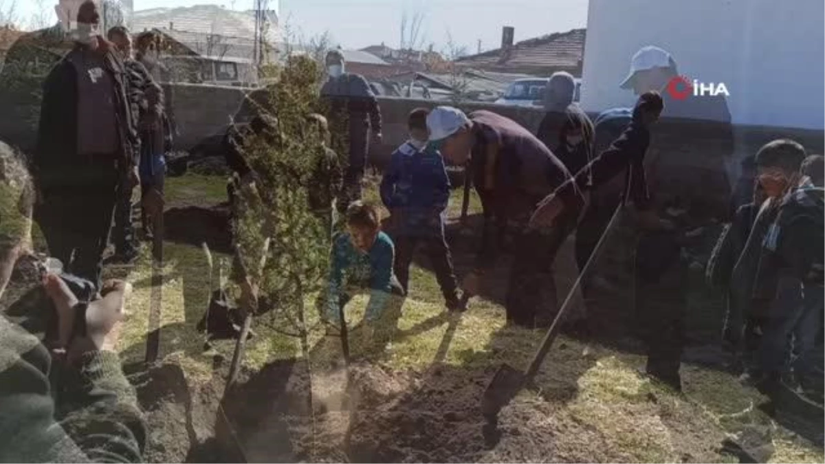 Şuhut\'ta binlerce fidan toprakla buluştu