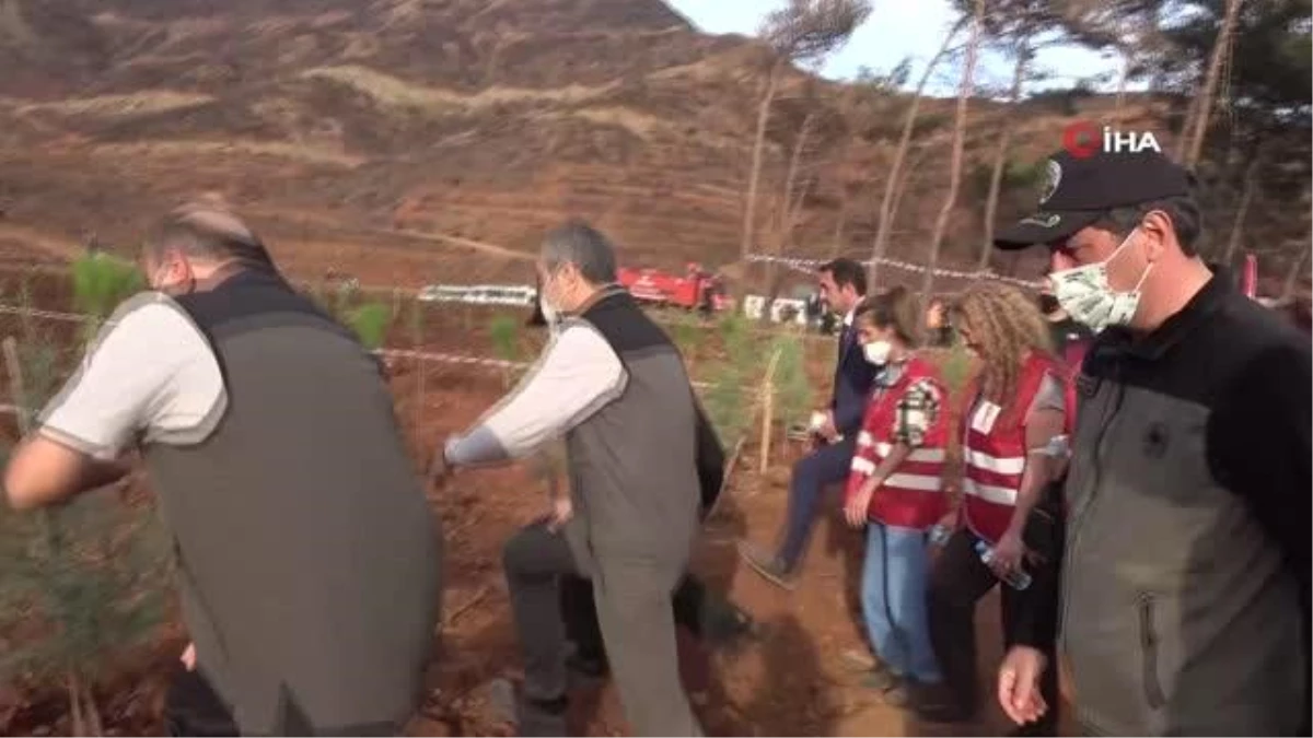 Tarım ve Orman Bakan Yardımcısı Fatih Metin, Marmaris\'teki fidan dikme törenine katıldı