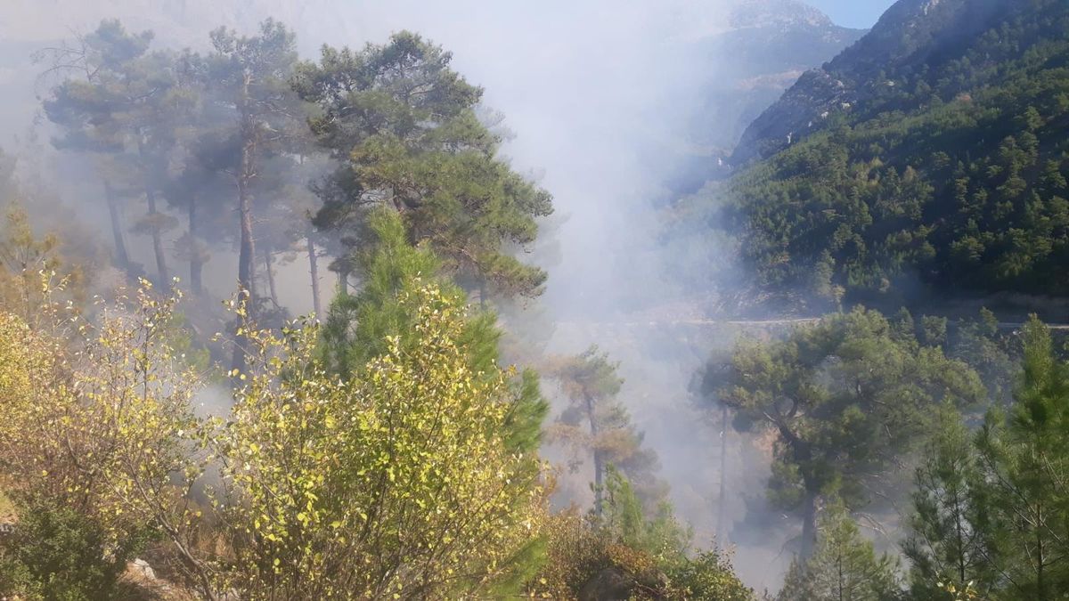 Yanan orman arazilerine fidan dikilirken, başka bir bölgede çıkan yangın büyümeden söndürüldü