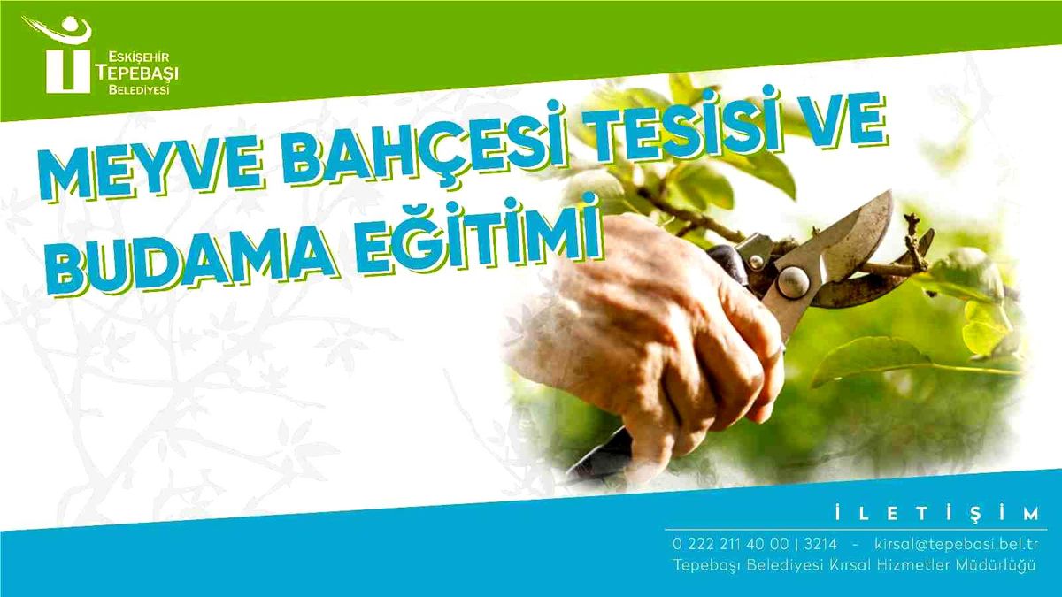 Budama eğitimi için ön kayıtlar başladı