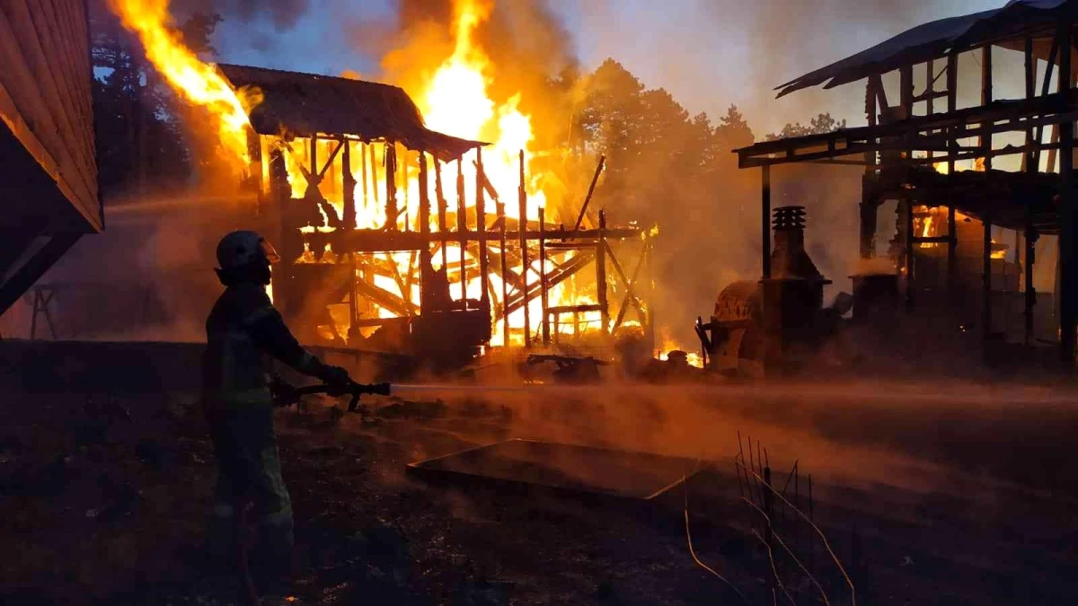 Bursa\'da 2 köy evi alev alev yandı