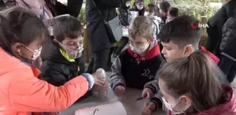 Maymunlara pastalı yaş günü kutlaması