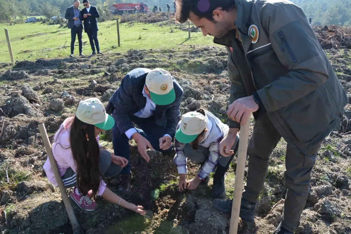 Sındırgı\'da 86 bin fidan toprakla buluşuyor