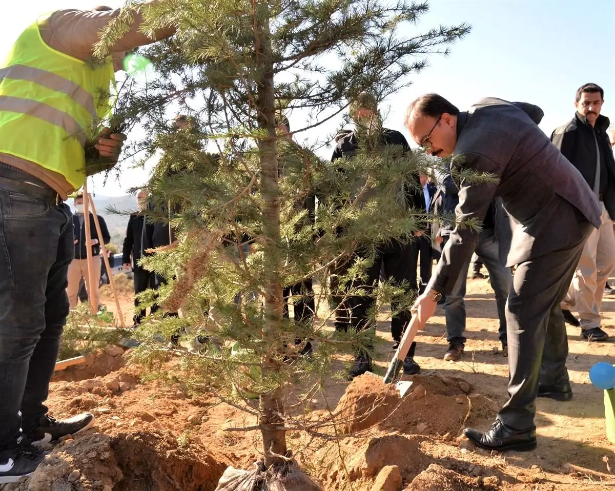 \'Söğüt Ertuğrul Gazi\' ve \'Domaniç Hayme Ana\' adı verilen fidanlar toprakla buluştu