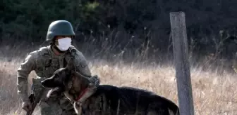 Türkiye ve Gürcistan'dan ortak sınır tatbikatı