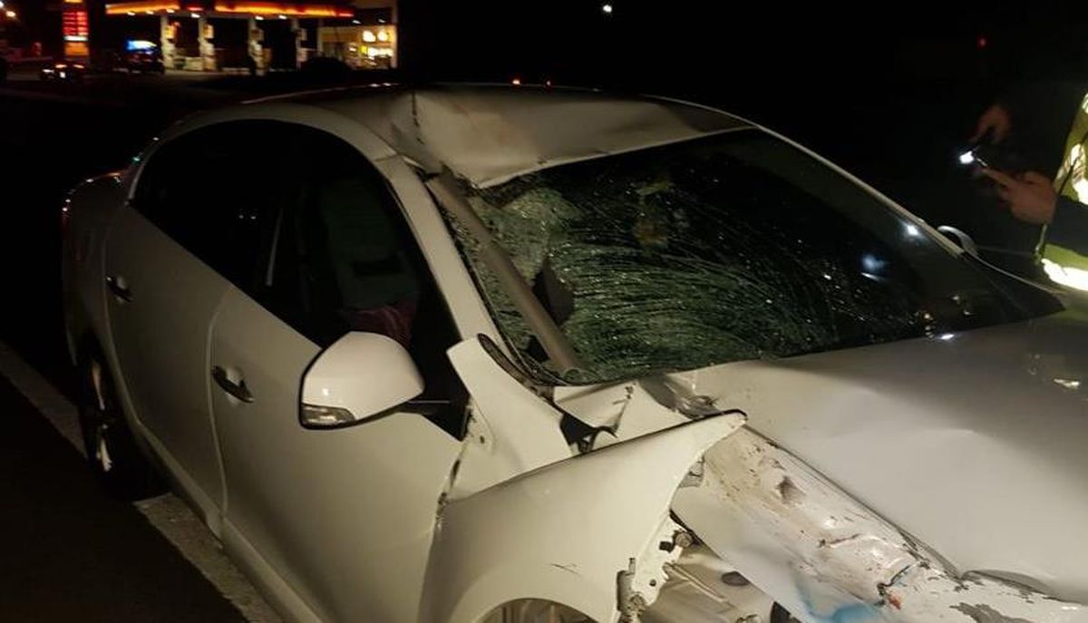 Balıkesir\'de otomobilin çarptığı dede ve torunu yaşamını yitirdi