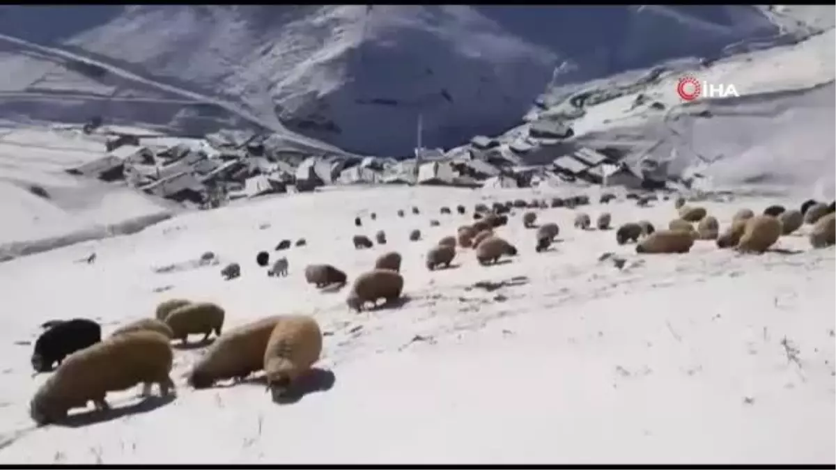 Bayburt - Trabzon sınırındaki köyler kar beyaz