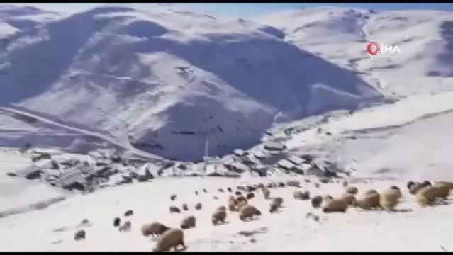 Bayburt - Trabzon sınırındaki köyler kar beyaz