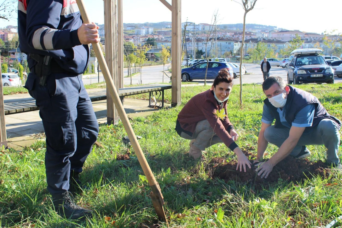 Ferizli\'de hastane bahçesi hasta ve yakınları için ağaçlandırılıyor