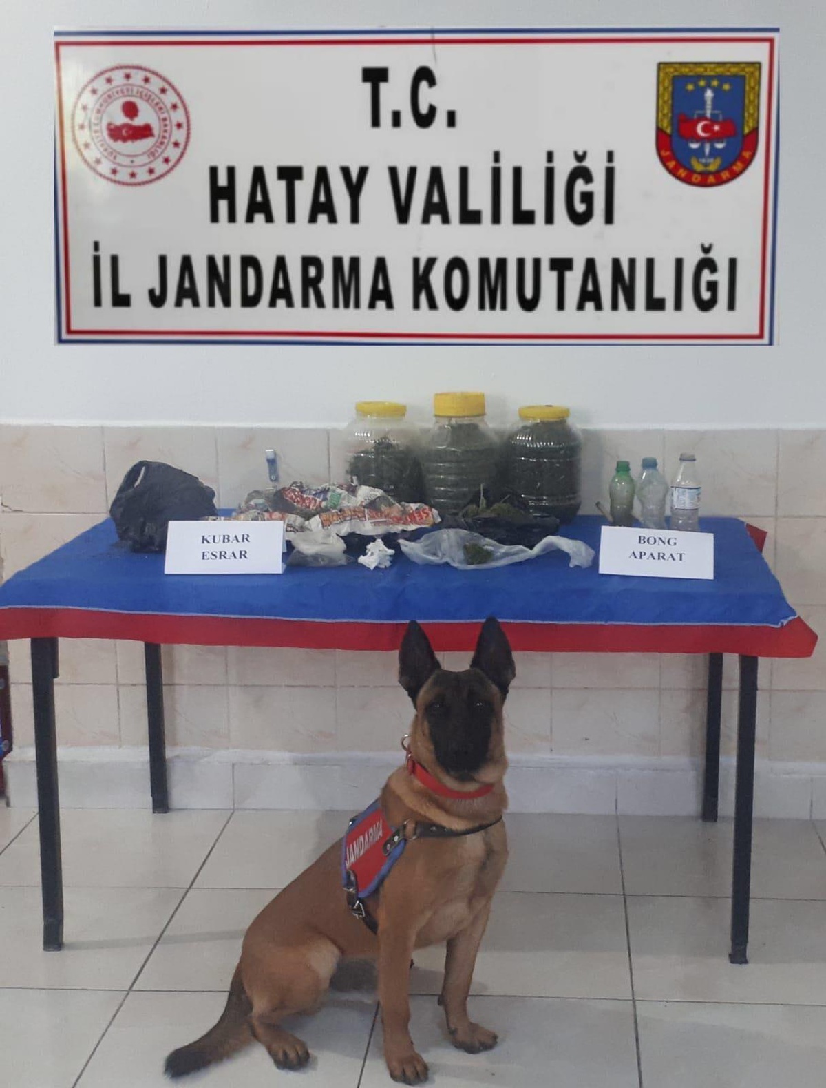 Hatay\'da huzur ve güven uygulamasında aranan 22 kişi yakalandı