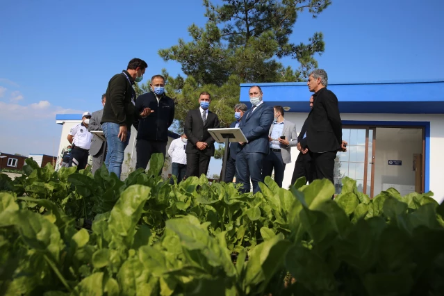 Karadağ Tarım, Orman ve Su Yönetimi Bakanı Stijovic, Bodrum'da incelemelerde bulundu