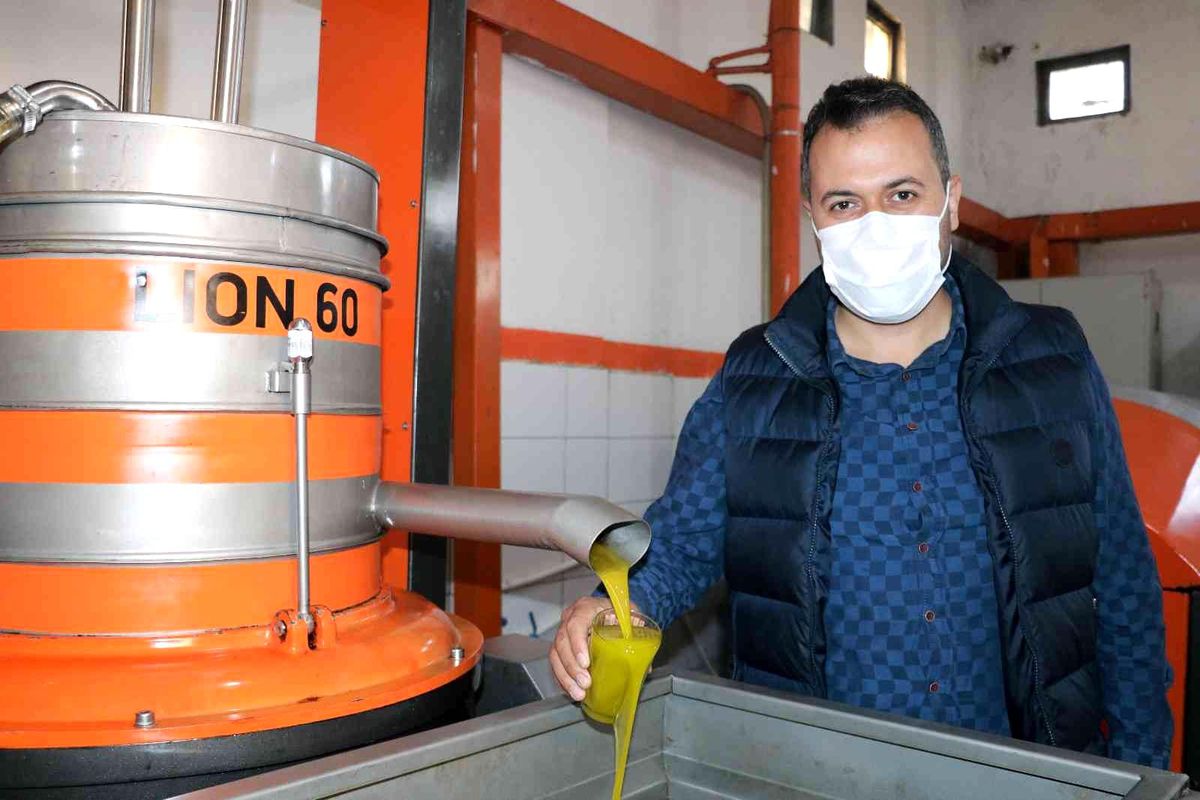 Maraş zeytinyağında hedef Avrupa