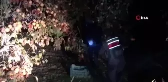 Son dakika haberi | Ağaç dalıyla kamufle olmaya çalıştı, polisin dikkatinden kaçamadı