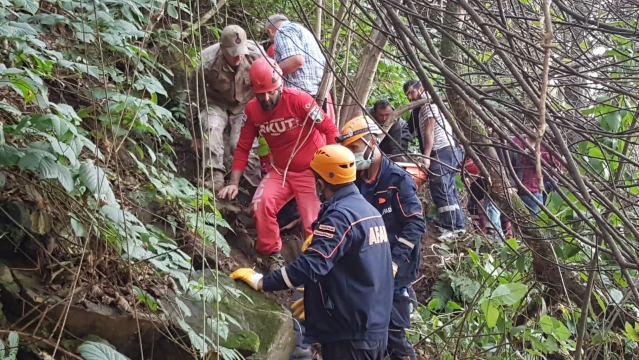 Giresun'da ağaç keserken uçuruma yuvarlanan kişi kurtarıldı