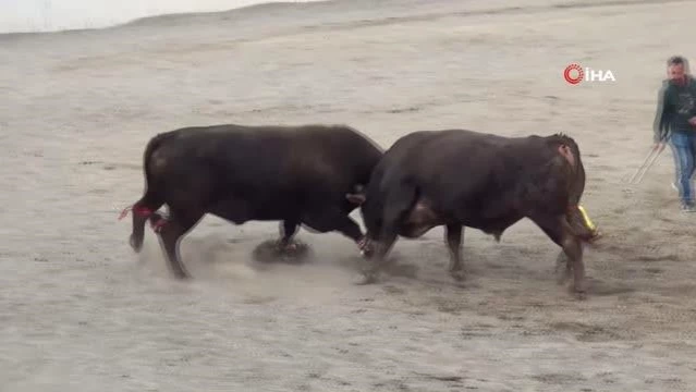 Güreşlerin geliri kimsesiz çocuklara gidiyor