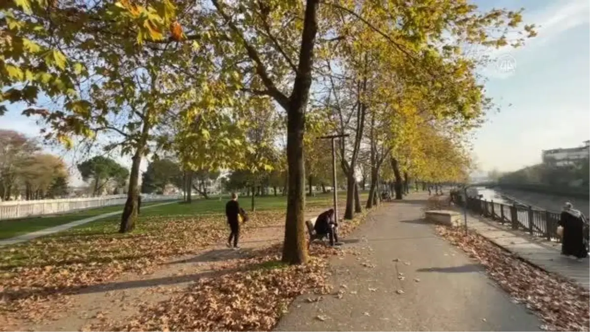 Parklarda sonbaharda renk cümbüşü yaşanıyor