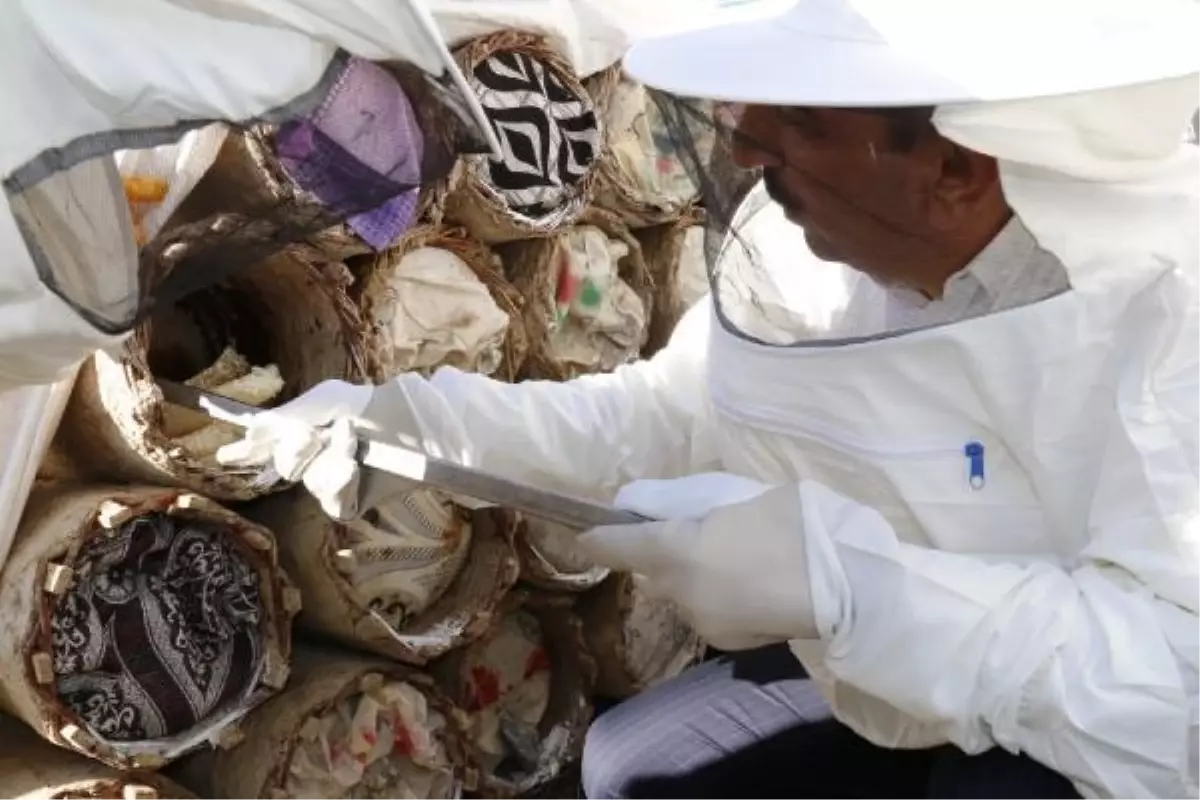 Son dakika haberleri! TERÖRDEN ARINDIRILAN 2047 RAKIMLI YAYLADA BAL HASADI